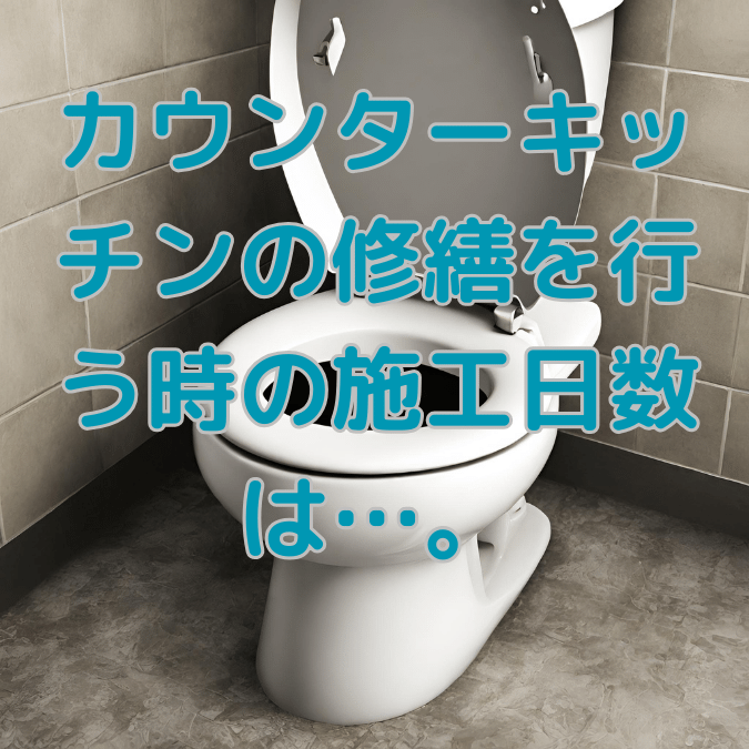 トイレつまり スッポン