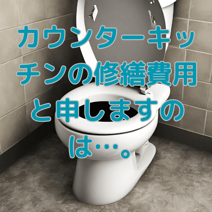 トイレつまり スッポン